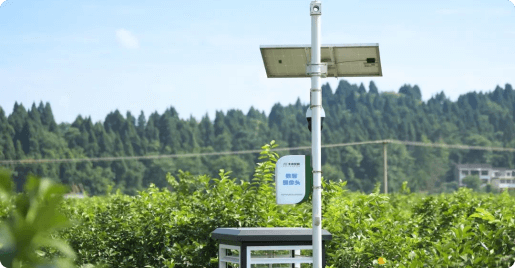 四川安岳柠檬创新应用基地